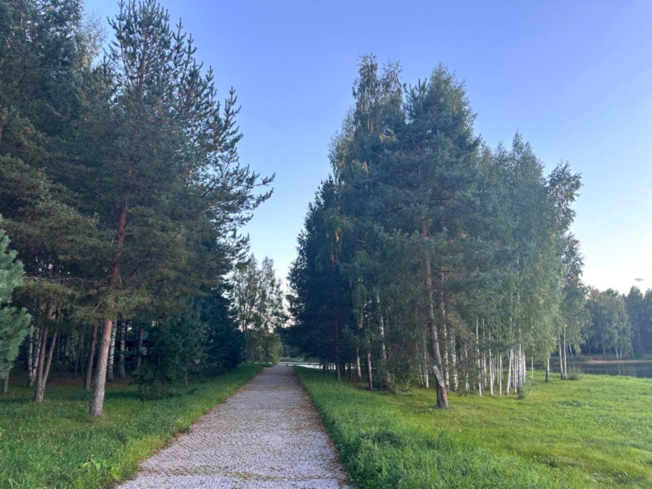 Лесная дорожка